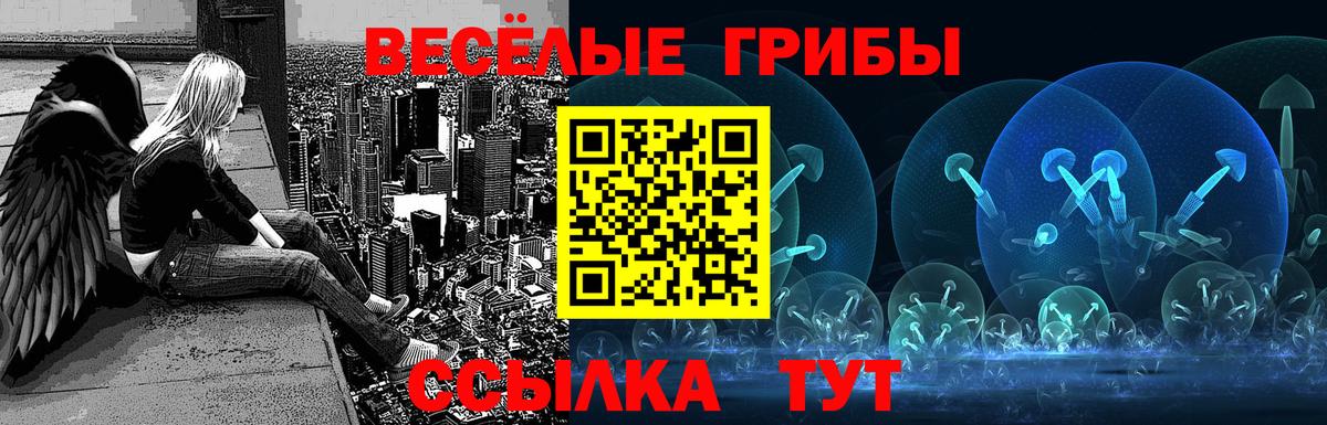 Галлюциногенные грибы ЛСД  Вход с VPN  Вольск  купить наркоту  Галлюциногенные грибы Psilocybine cubensis 