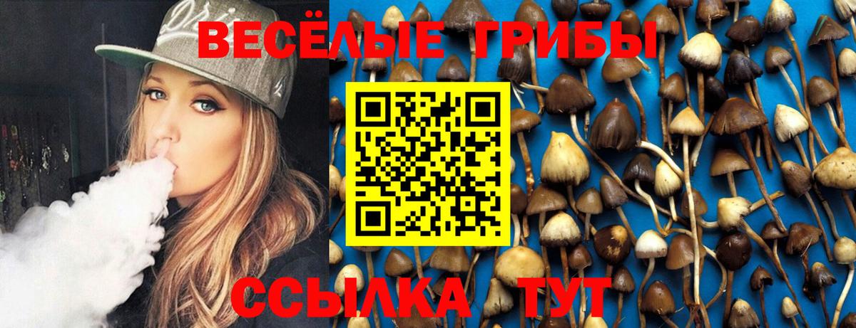 Галлюциногенные грибы мицелий Вольск